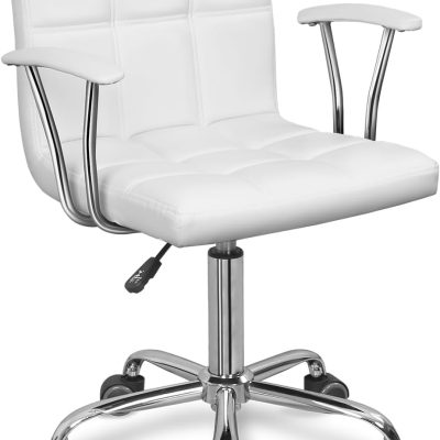 LY199 Armrest Mid Back Adjustable Computer Chair