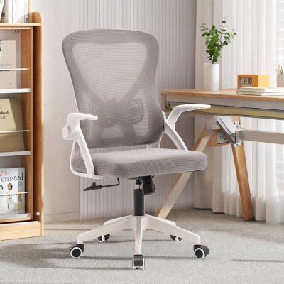 LY196 Back Ergonomic Armrests Computer Capacity Chair
